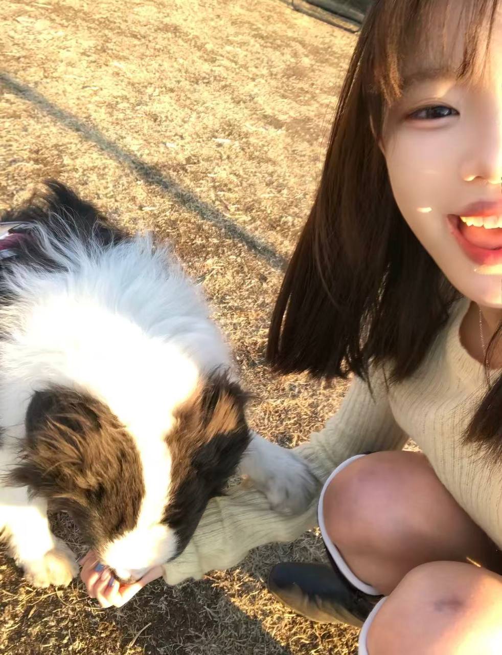 BJ민정